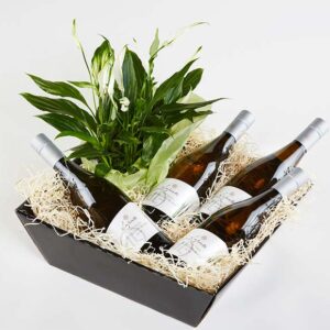Blomstrende gavekasse med hvidvin - Send blomster med Bloomit