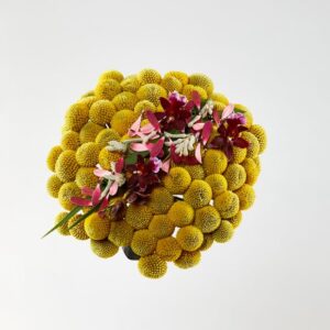 Brudebuket af craspedia - Send blomster med Bloomit