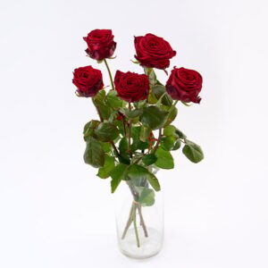 Buket med 5 røde roser - Send blomster med Bloomit