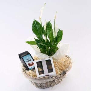 Hyggekurv der blomstrer med chokolade - Send blomster med Bloomit