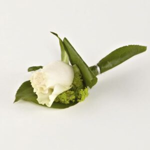 Knaphulsblomst, almindelig rose - Send blomster med Bloomit