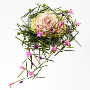 Syet rose i rosa - Send blomster med Bloomit